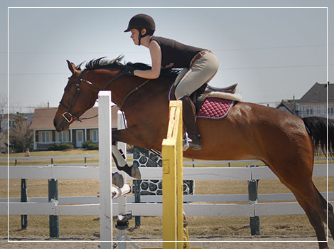 horseback riding