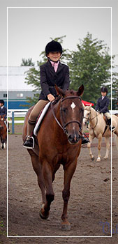 horse riding
